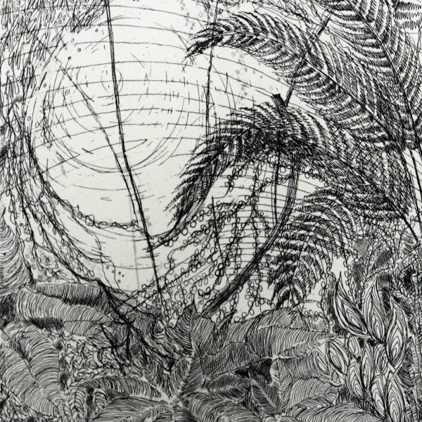 MicheleFahy_Low-Light