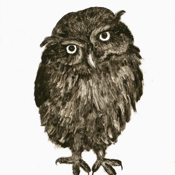 TITLE: Young Owl MEDIUM: Monotype EDITION NUMBER 1/1 (but series of 3 fairly similar ones where I reworked the ghost image, so maybe that can be mentioned on the title/price label. I will bring those in with the framed print) PAPER SIZE & PLATE SIZE: both 28x25cm UNFRAMED GALLERY SELLING PRICE: €200 (presume this is the retail price?) PRECISE COST OF THE FRAME TO YOU: €50 I think the retail price for the framed piece in the summer show was €260, so please keep this one around the same price.