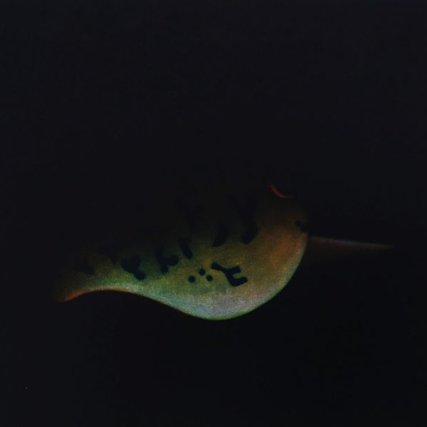 James McCreary, Lures Cala Jugadora