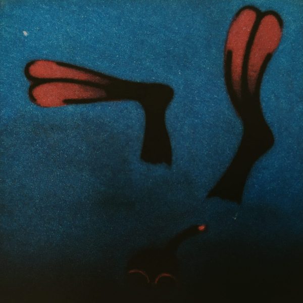 James McCreary, Salvador swimming with a star