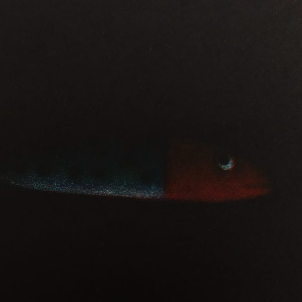 James McCreary, Spotted lure