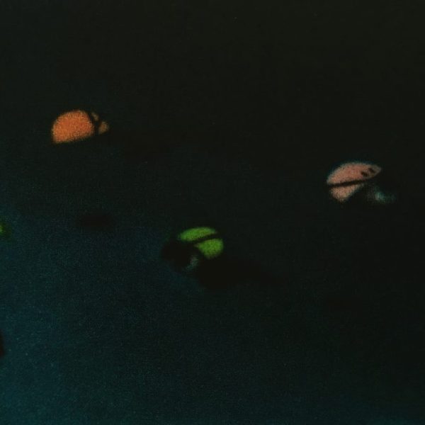 James McCreary, Swimming in Es Poal V