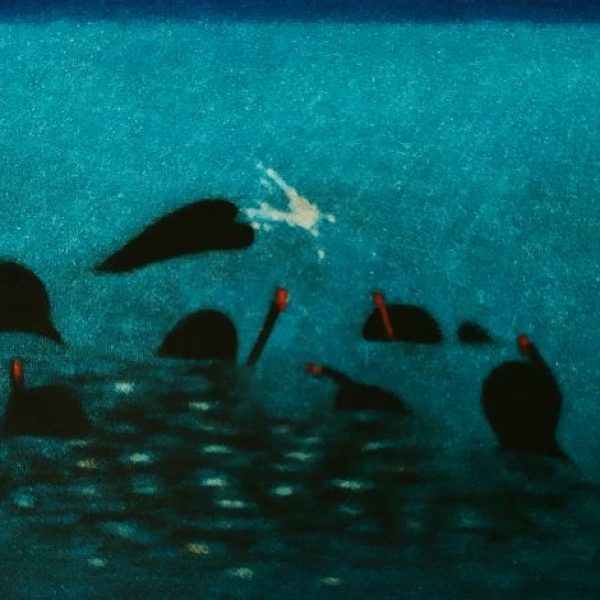 James McCreary, Swimming with Dali