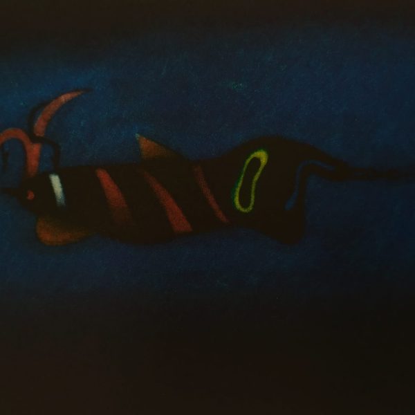 James McCreary, The allure of Salvador