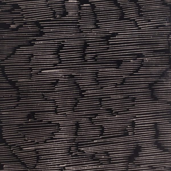 Anthony Lyttle, Untitled
