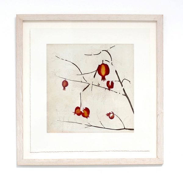 Cliona Doyle, Pomegranate Tree