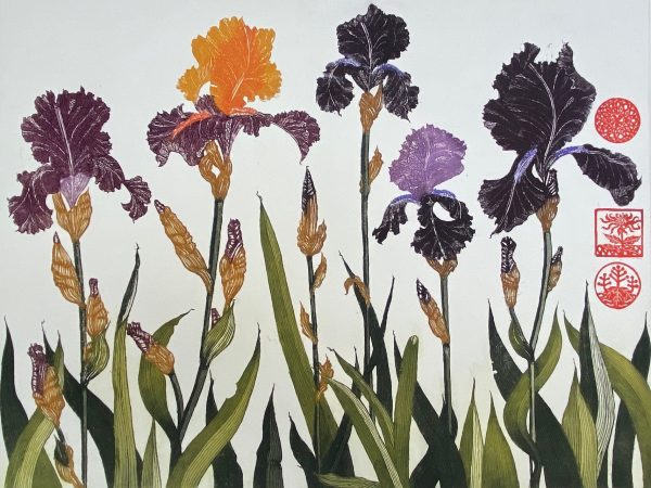 Jean Bardon, Flag Irises