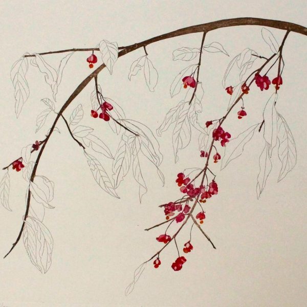 Spindle