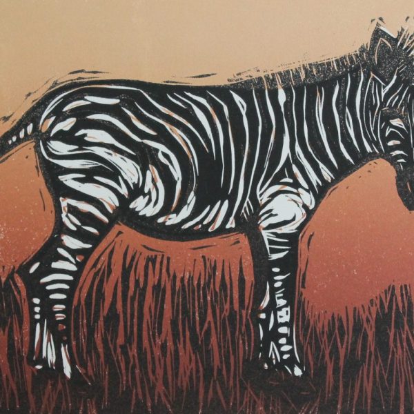 Zebra