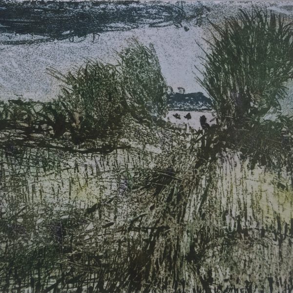 Monasterevin Environs 2