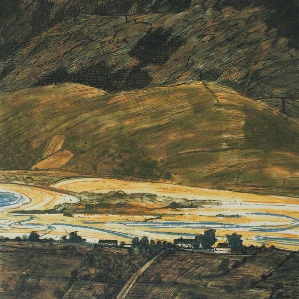 Niall Naessens, The road to Brandon