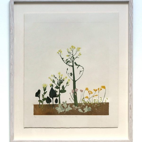 Sea Radish and Sea Holly