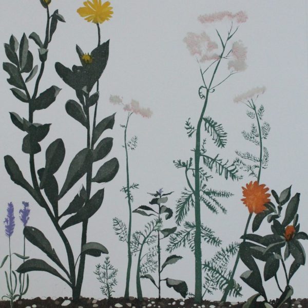 Herbgarden