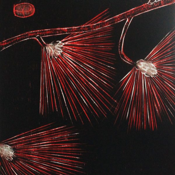 Red Pine II