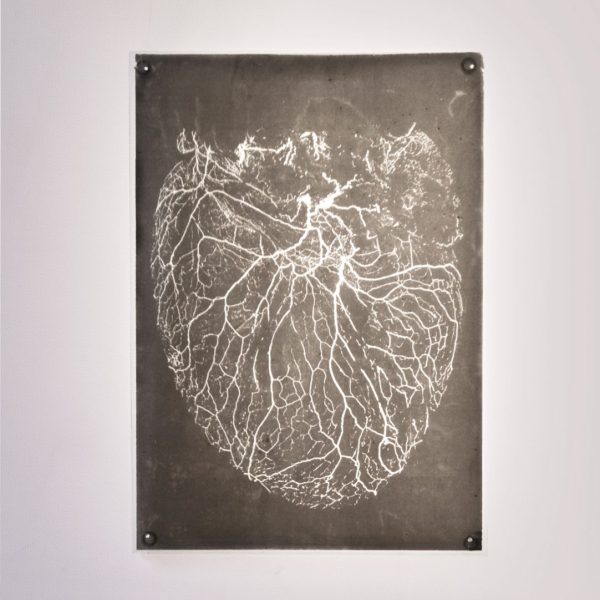 Sarah Roseingrave, Signal