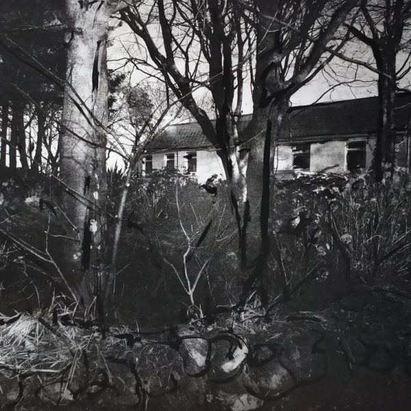 Margo McNulty, House