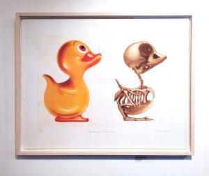 Graphic Studio Dublin • John Kindness: Anatomy of a ruber duck