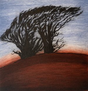 Graphic Studio Dublin • Carmel Benson: Winter Trees