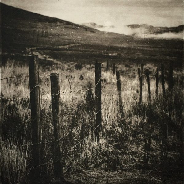 Fences II-Kerry