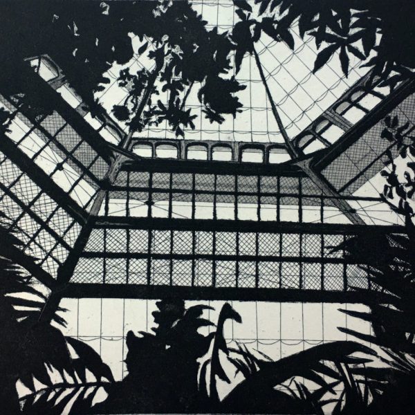 Within the Curvilinear