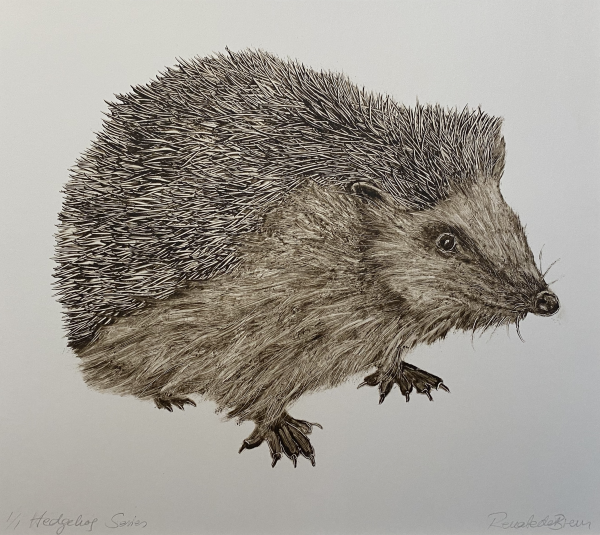 Renate Debrun, Hedgehog Series 2