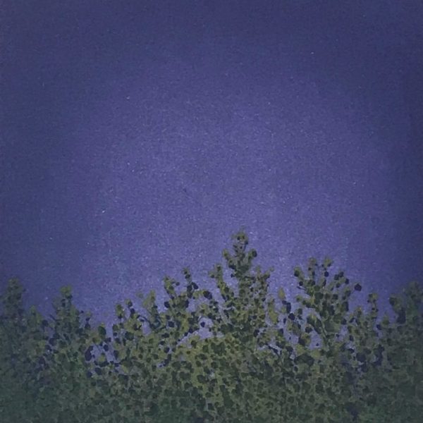 Dermot_Ryan__Violet_Light