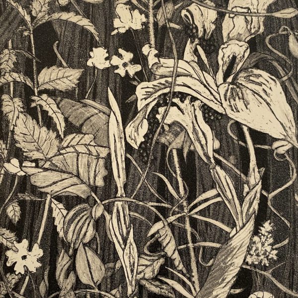 Pamela Leonard, Seeking Space