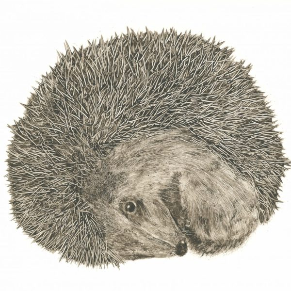 Renate Debrun, asleep, Winter Show 2021, Graphic Studio Gallery