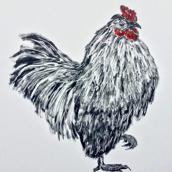 Rooster