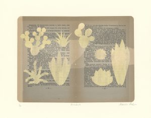 Succulents-Sharon-Lee