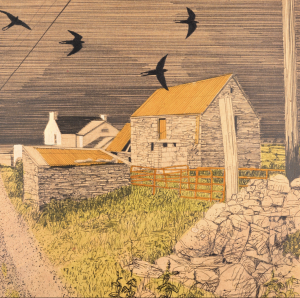 Niall Naessens - Derelict Sheds and Swallows