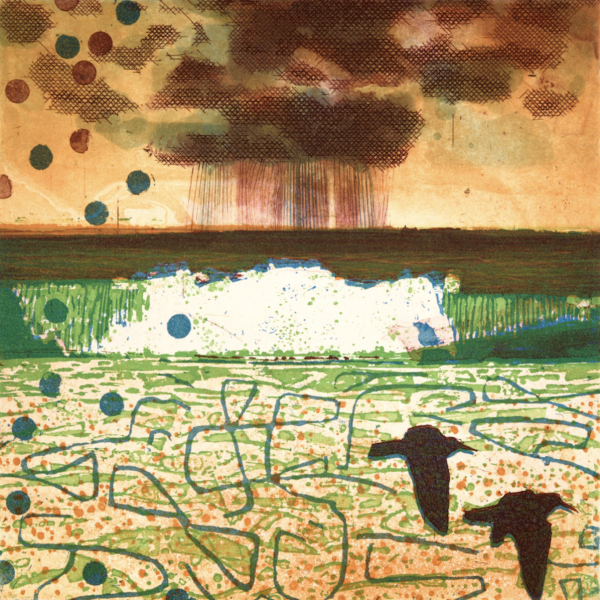 The Wave and Oyster Catchers