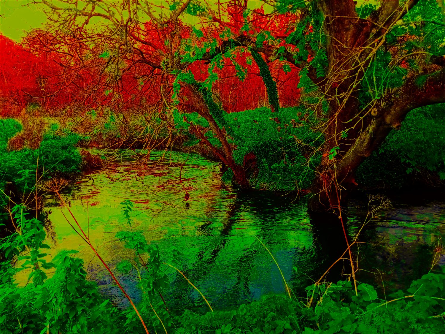 The Green King's Realm