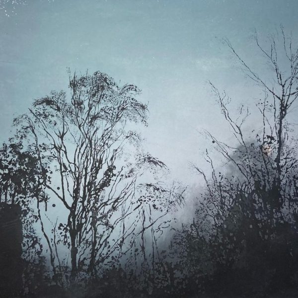 Doorlus (Nocturne)