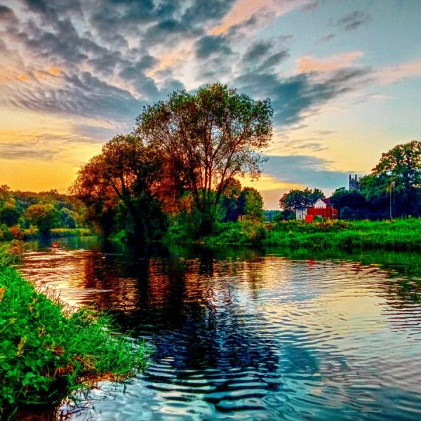 The evening tilting the evening air