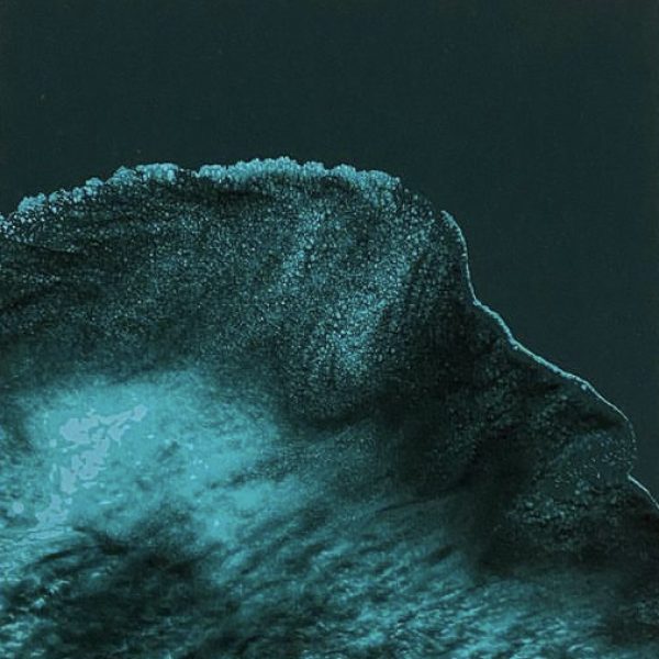 Tide I