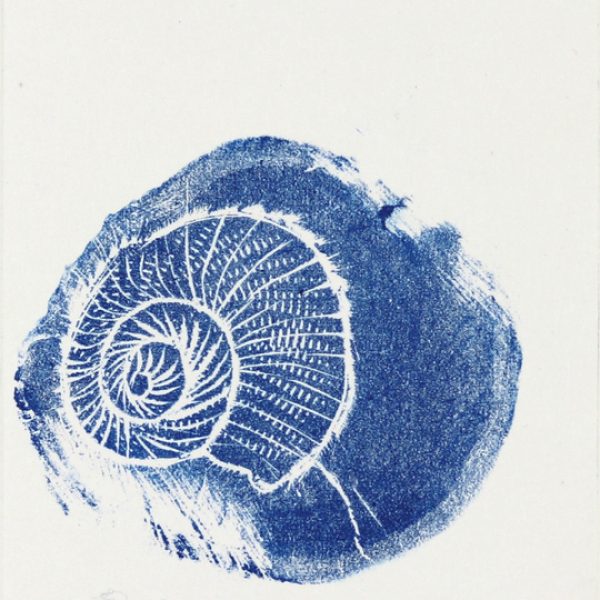 Jennifer Lane-Orient Home