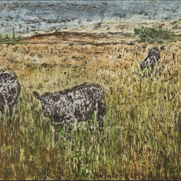 DANIEL LIPSTEIN, Local Bulls and Cows,