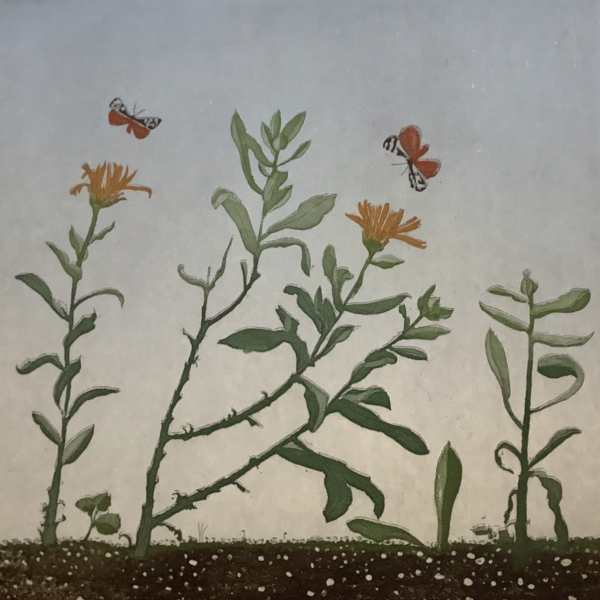 Cliona Doyle, Marigold with Tiger Moth’s, 2023