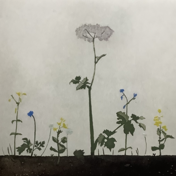 Cliona Doyle, Queen Anne’s Lace, 2023