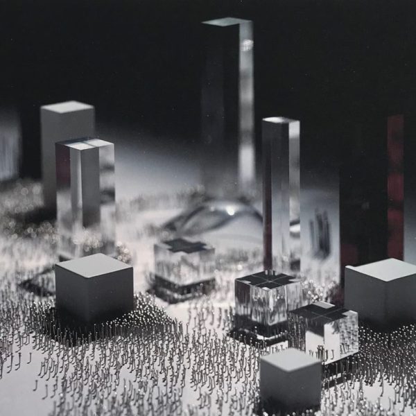 The crowd transfixed I - Joy Gerrard