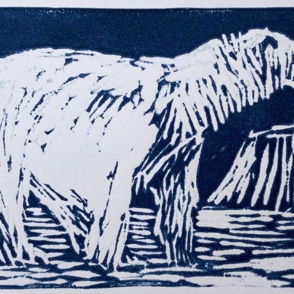 Polar Bear - Maev Lenaghan