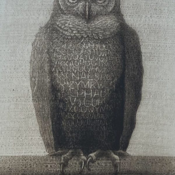 Kelvin Mann - Untitled (Owl)