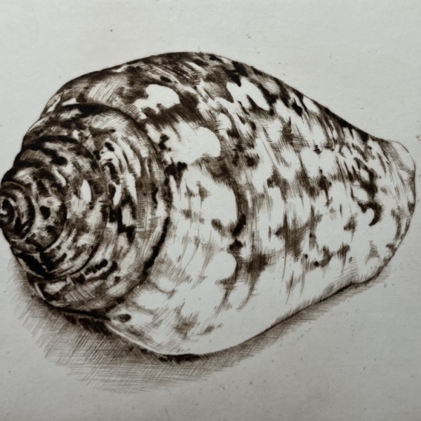 Barry Meskell - Cowrie