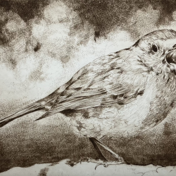 Barry Meskell - Warning song