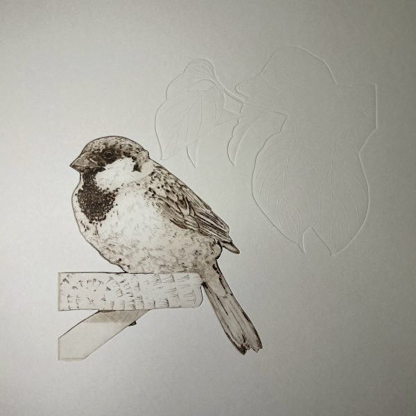 barrymeskell-upon-the-time-of-sparrow-chirp