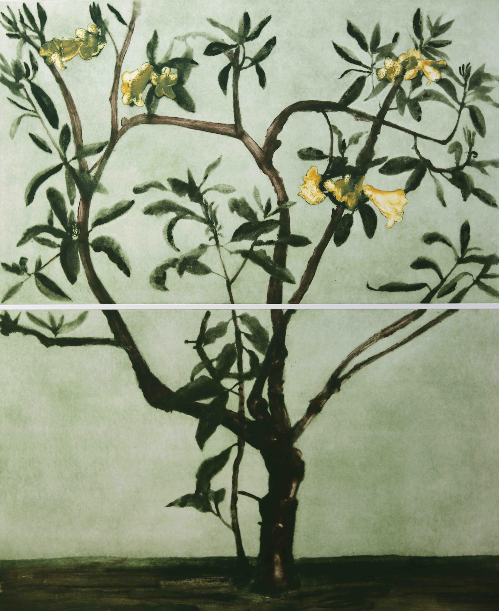 Rhododendron Excellens by Cliona Doyle