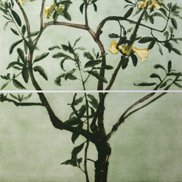 ClionaDoyle_RhododendronExcellens_136x112cm