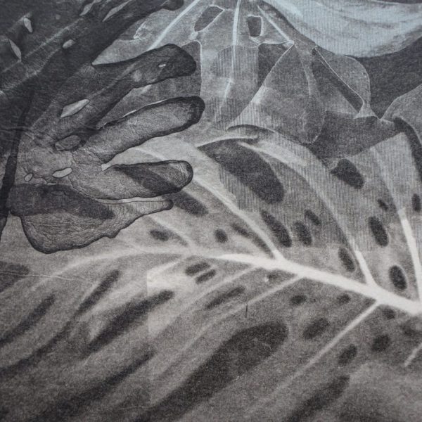 SharonLee_Monstera_detail
