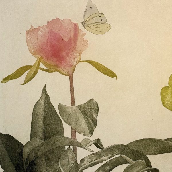 Paeony-with-Large-White